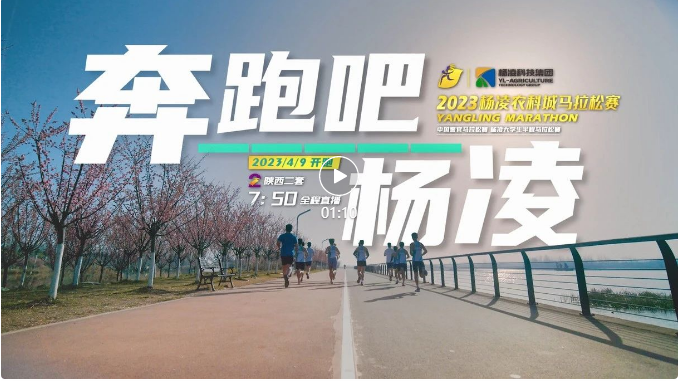 相約“楊馬” | 新賽道，新體驗！